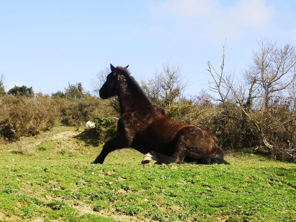 Terres De Barrejat Villa Cazals-des-Baylès Kültér fotó