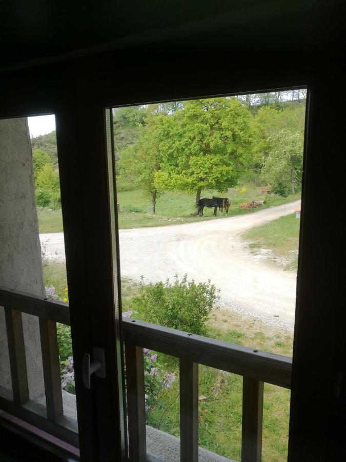 Terres De Barrejat Villa Cazals-des-Baylès Kültér fotó